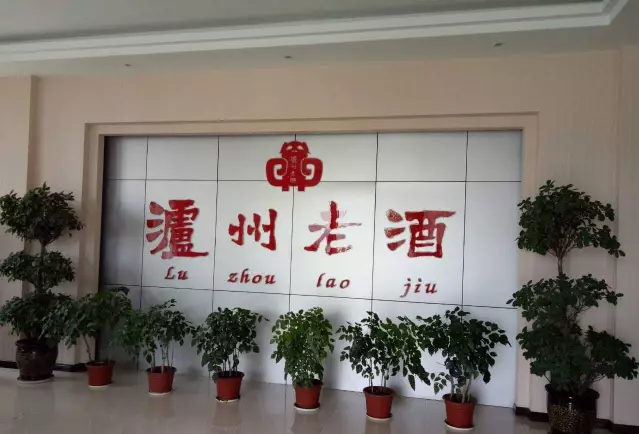 廣西謝氏宗親總會走進四川考察瀘州老酒集團等企業(yè)